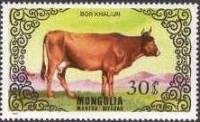 (1985-002) Марка Монголия "Корова"    Племенное скотоводство III Θ
